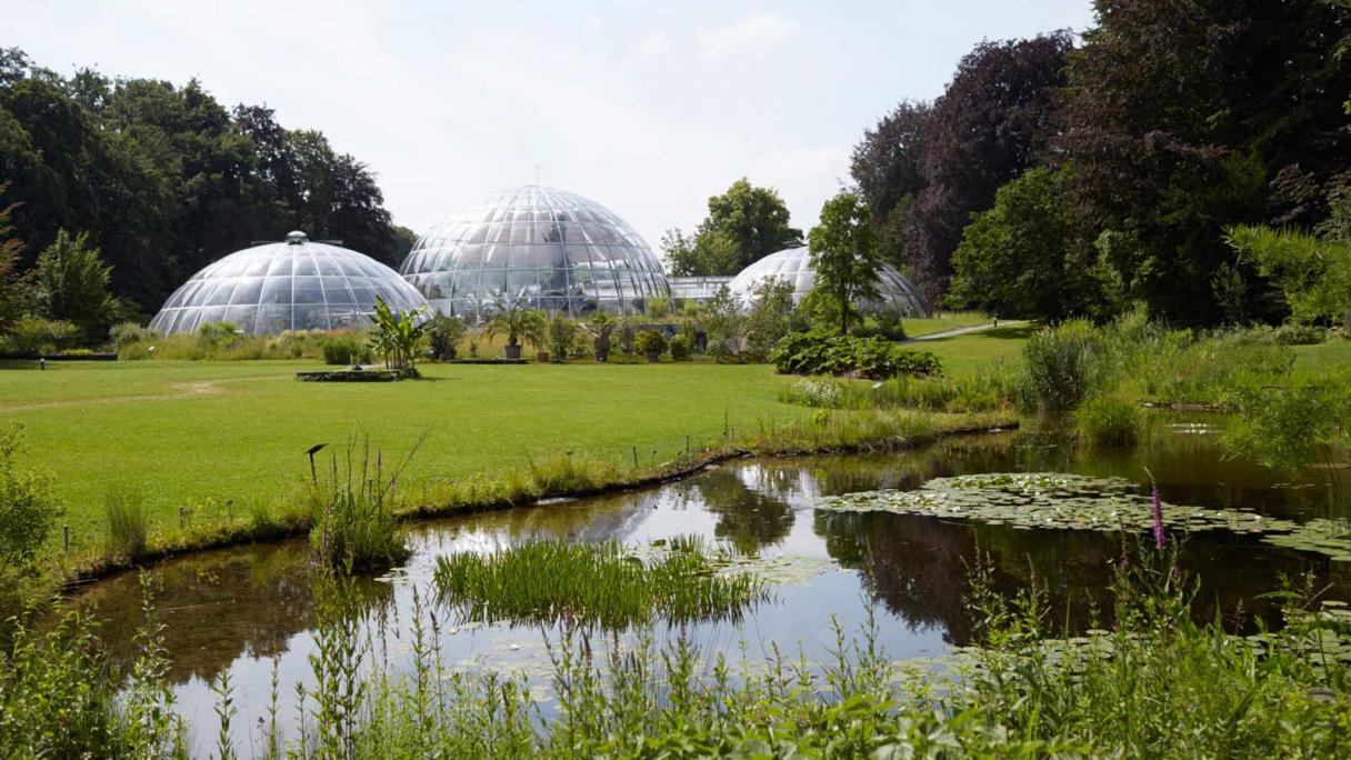 Jardin Botanique, Zurich