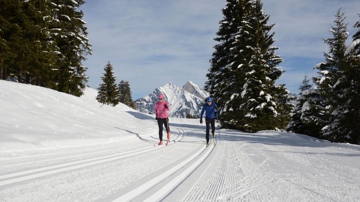 Cross-Country Skiing near Zurich