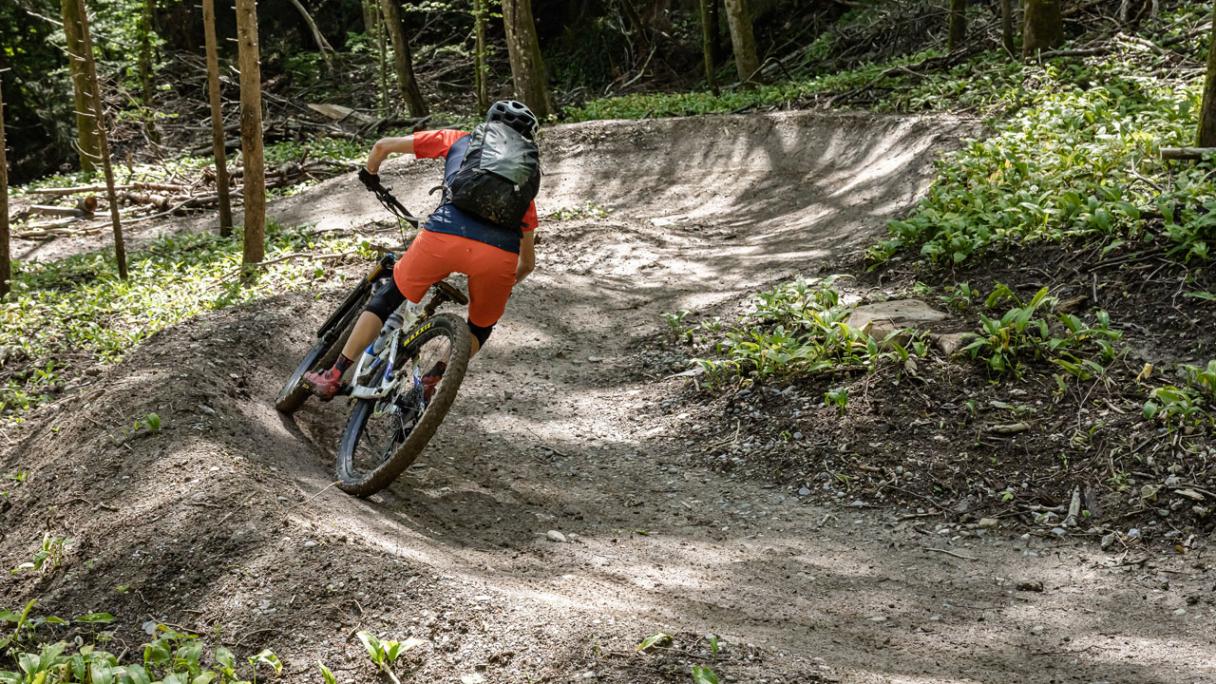 Mountain Bike Trails on the Uetliberg