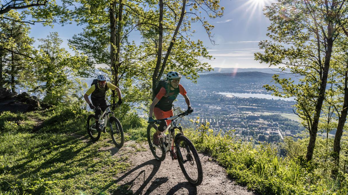 Faire du VTT à Zurich et dans sa région