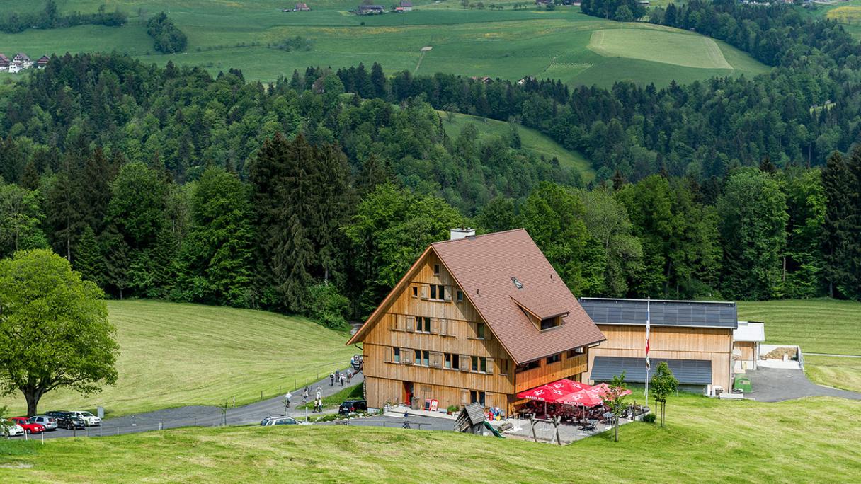 Alpine Panorama Trail Unterägeri – Zug