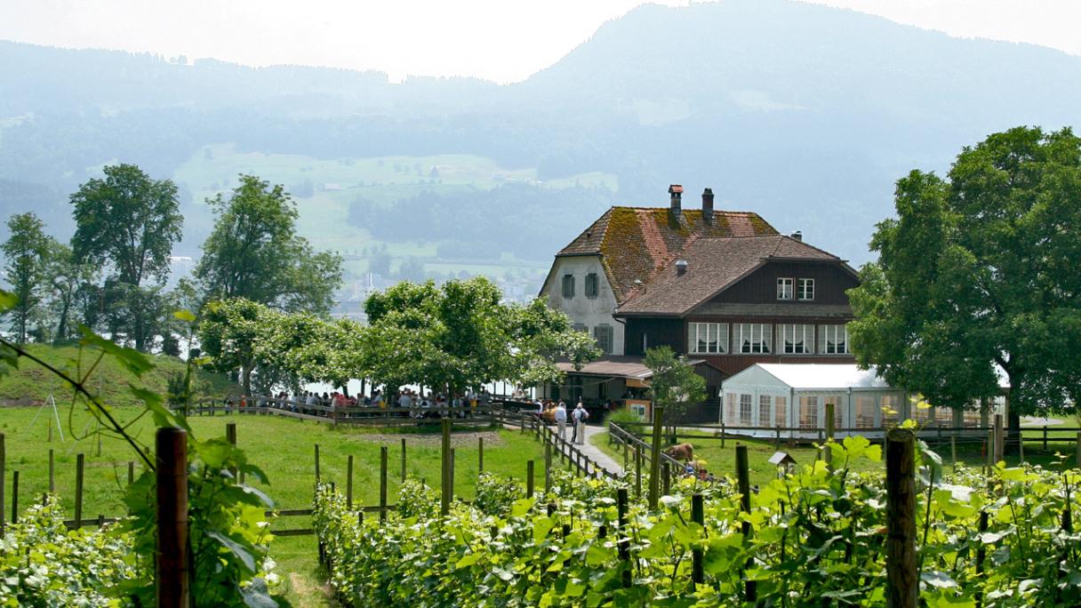 Insel Ufnau, Restaurant