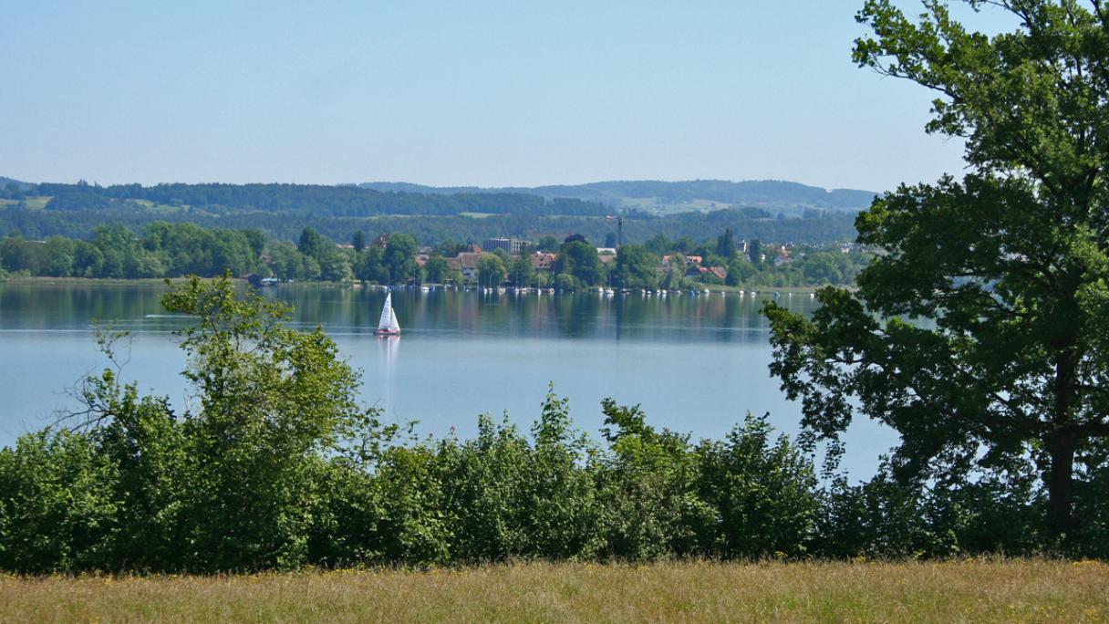 Greifensee bei Maur