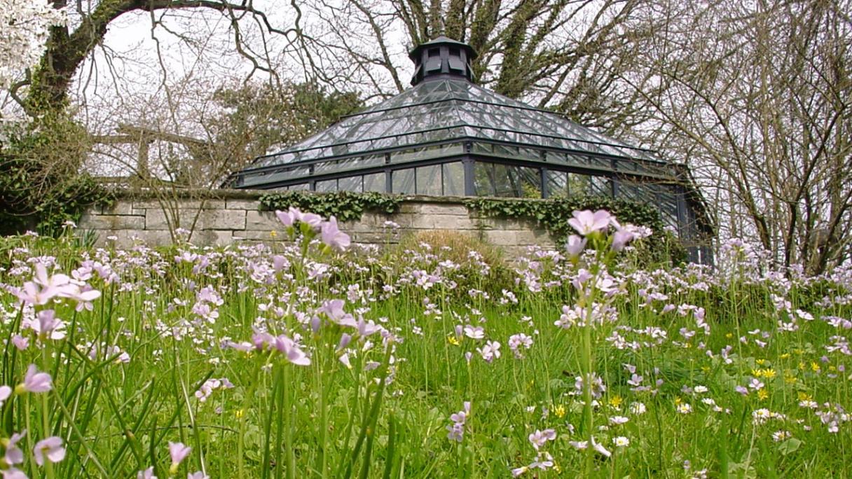 Padiglione di vetro storico, vista esterna, Antico Orto Botanico Zurigo