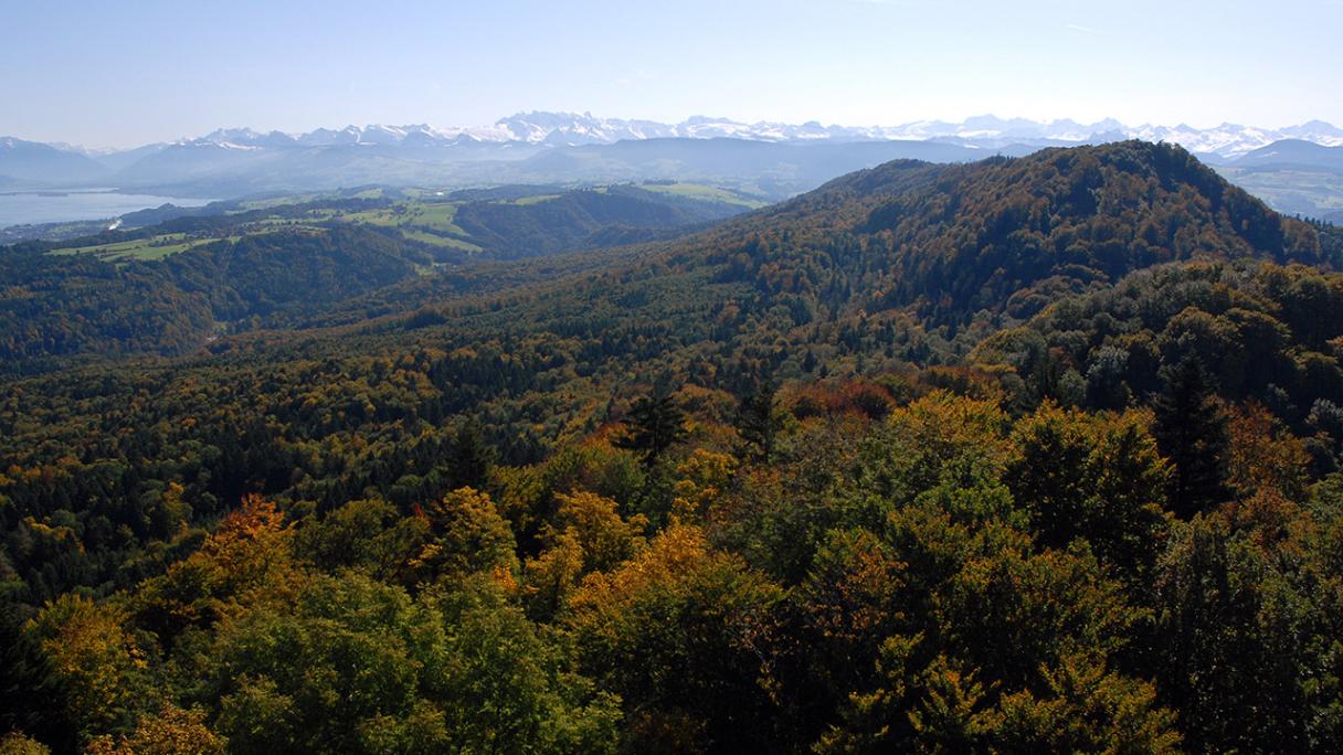 Sihlwald Zürich, Schweizer Nationalpark