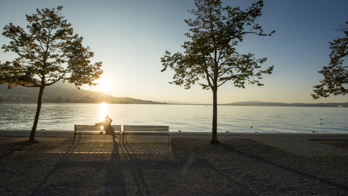 Sonnenuntergang, Zürichsee