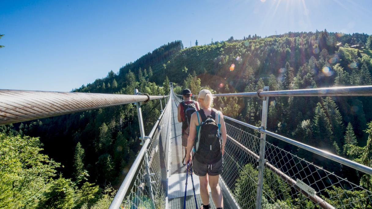 Hängebrücke Skywalk im Gebiet Sattel-Hochstuckli