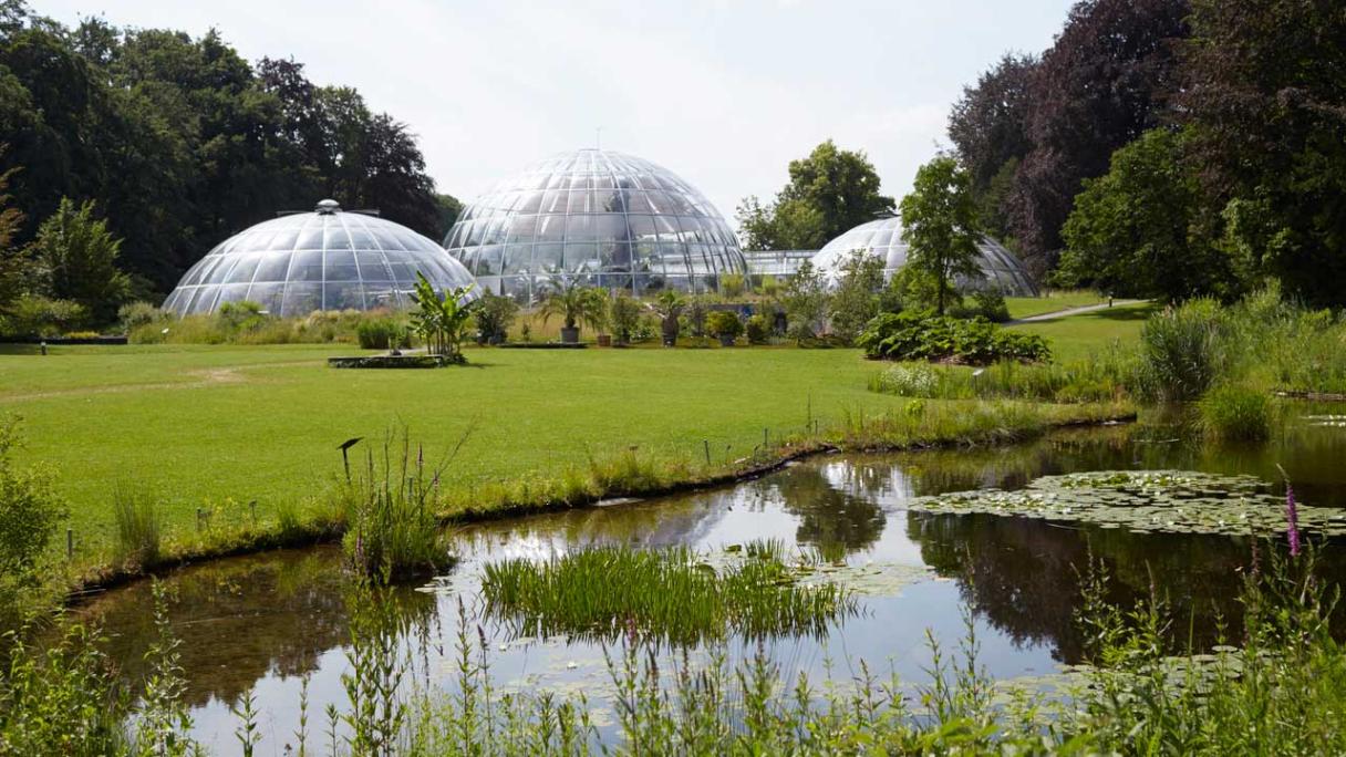 Botanical Garden, Zurich