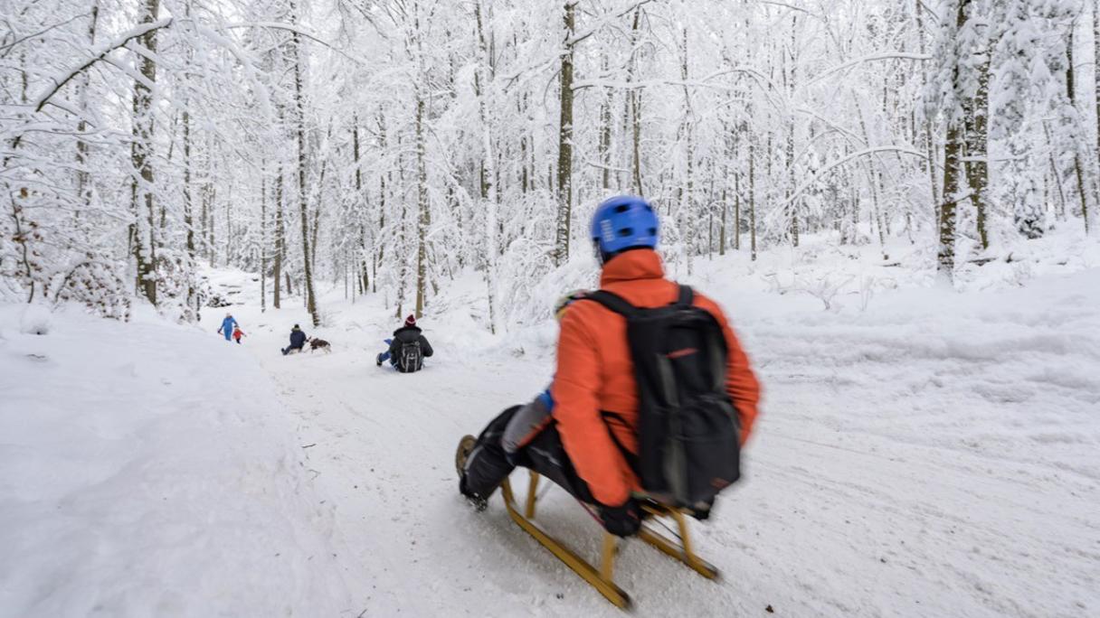 Tobogganing on the Uetliberg, Zurich