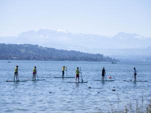 Supkultur, Zürichsee