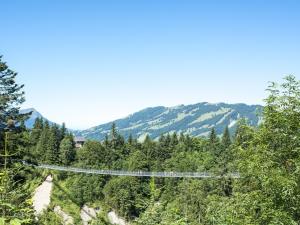 Skywalk suspension bridge