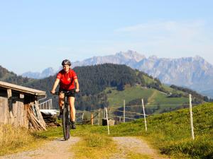 Bergrestaurant Farneralp