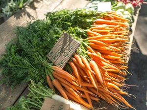 Market Rapperswil Zurich