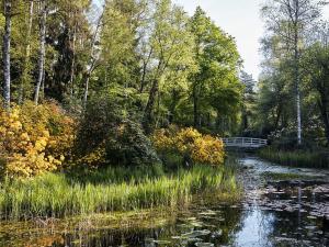 Park Seleger Moor