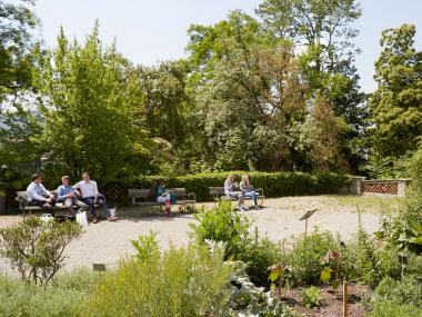 Alter Botanischer Garten in Zürich