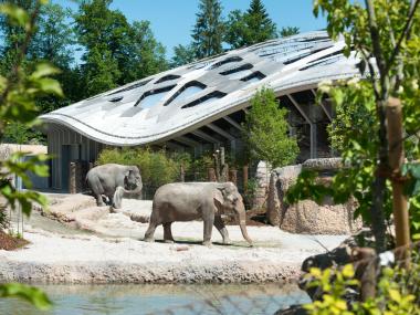 Elefantenhaus Zoo Zürich