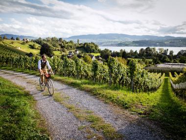 Bike Route 66, Vineyards