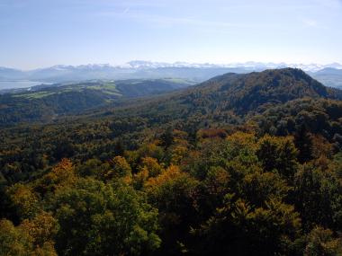 Sihlwald Zürich, Schweizer Nationalpark