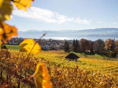 Erich Meier Winery