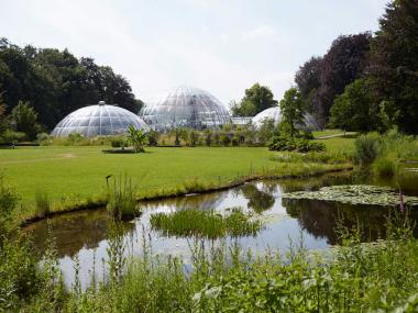 Botanical Garden, Zurich