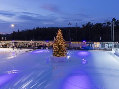 Patinoire Dolder, Zurich