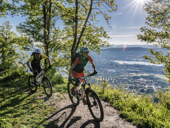 Mountain Biking in Zurich and Surroundings