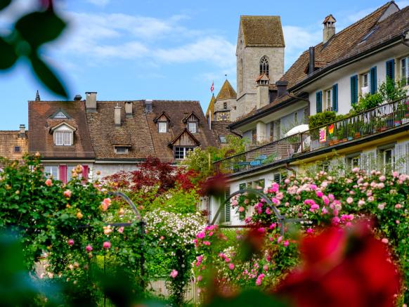 Rapperswil, ville des roses