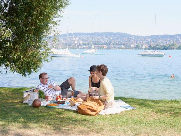 Lake Zurich, Picnic