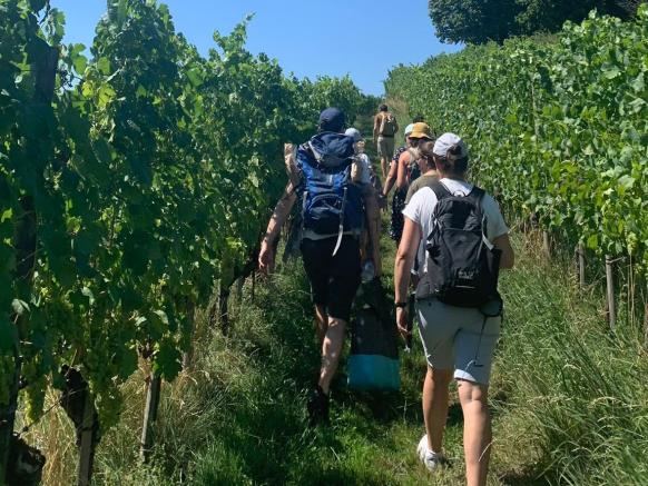 Weinwanderung, CVB Teamausflug