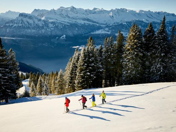 Schneeschuhwandern Rigi