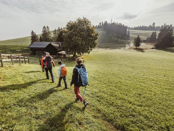 Wandern am Zugerberg