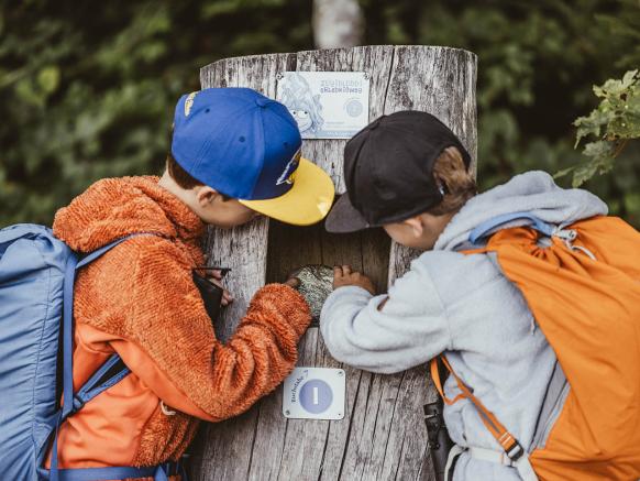 Wandern am Zugerberg