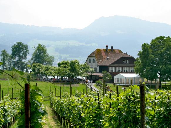 L'isola di Ufnau, ristorante