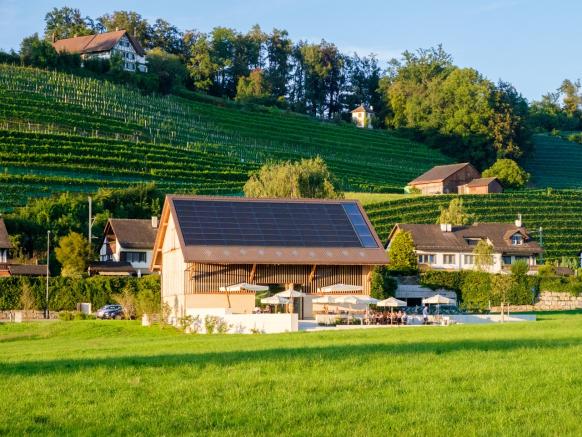 Höcklistein Winery