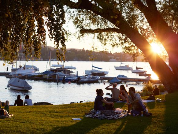 Sommer in Zürich