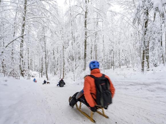 In slittino sull’Uetliberg, Zurigo