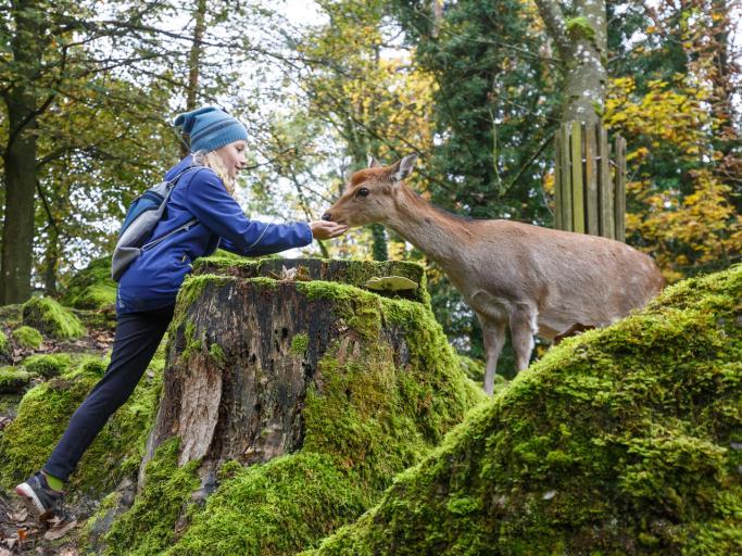 Wildlife Park Goldau