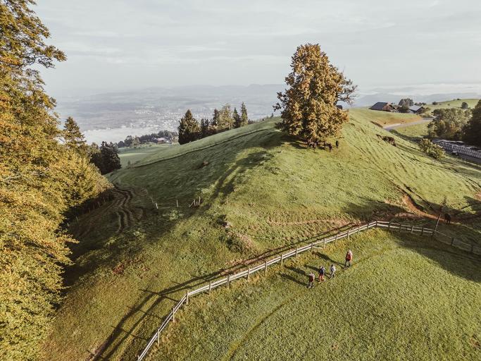 Hiking on the Zugerberg