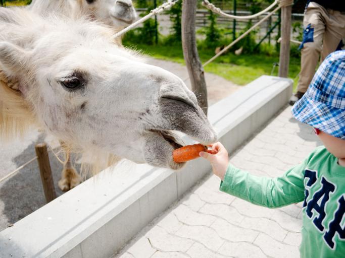 Knie’s Children’s Zoo