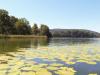 Katzensee