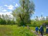 Naturstation Silberweide