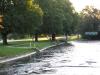 Flussbad Au-Höngg – nager près de l'île Werdinsel