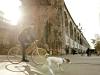 Viaduct Arches – Boulevard and Architectural Highlight in Zurich-West