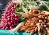 Weekly Market in Altstetten, Zurich